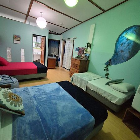 Cozy Hosting Galapagos Leilighet Puerto Ayora  Eksteriør bilde