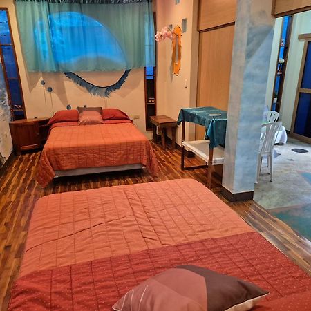 Cozy Hosting Galapagos Leilighet Puerto Ayora  Eksteriør bilde