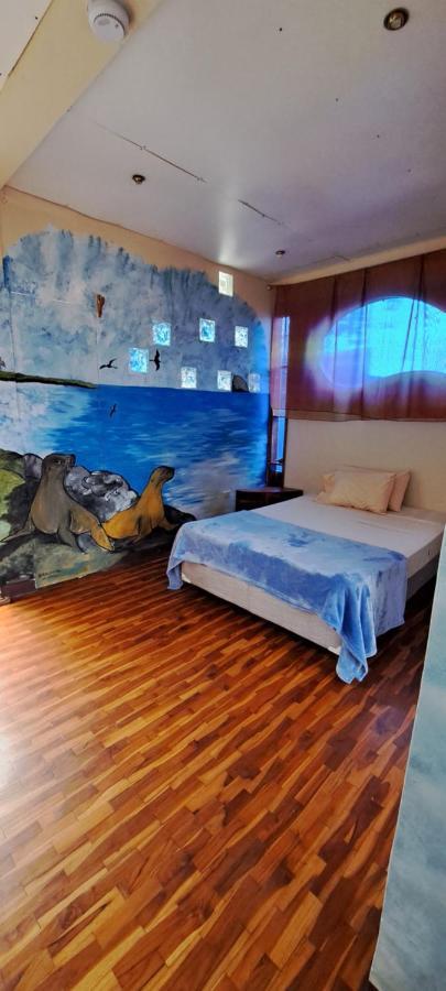 Cozy Hosting Galapagos Leilighet Puerto Ayora  Eksteriør bilde